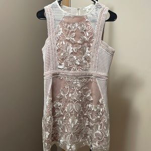Fitted Pink W/White Lace Dress - Size Large